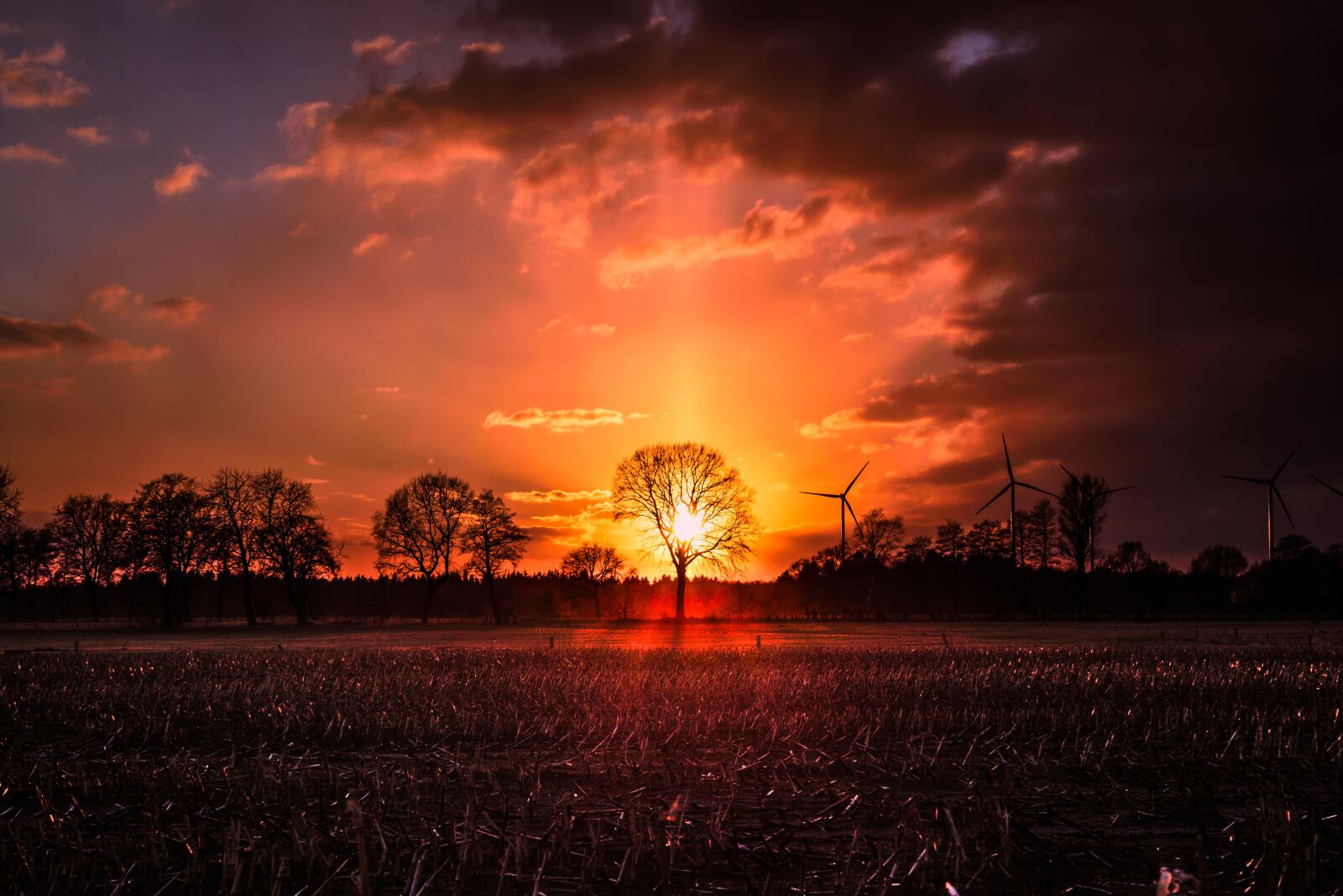 Nikon D750 sample photo. Sunset, dawn, sun photography