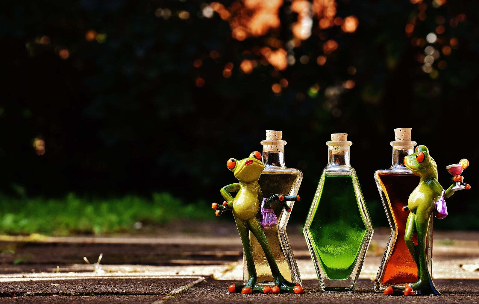 Nikon D7200 sample photo. Frogs, chicks, beverages photography