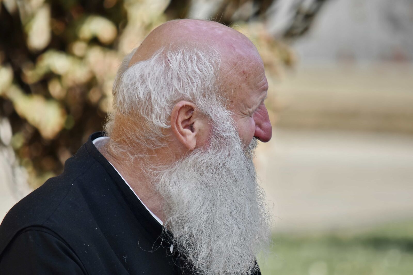Nikon D5500 sample photo. Beard, man, portrait, priest photography