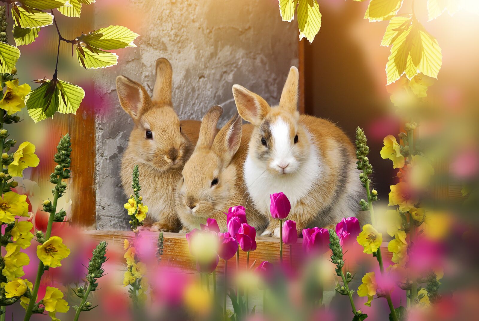 Nikon D80 sample photo. Rabbit, out, easter photography