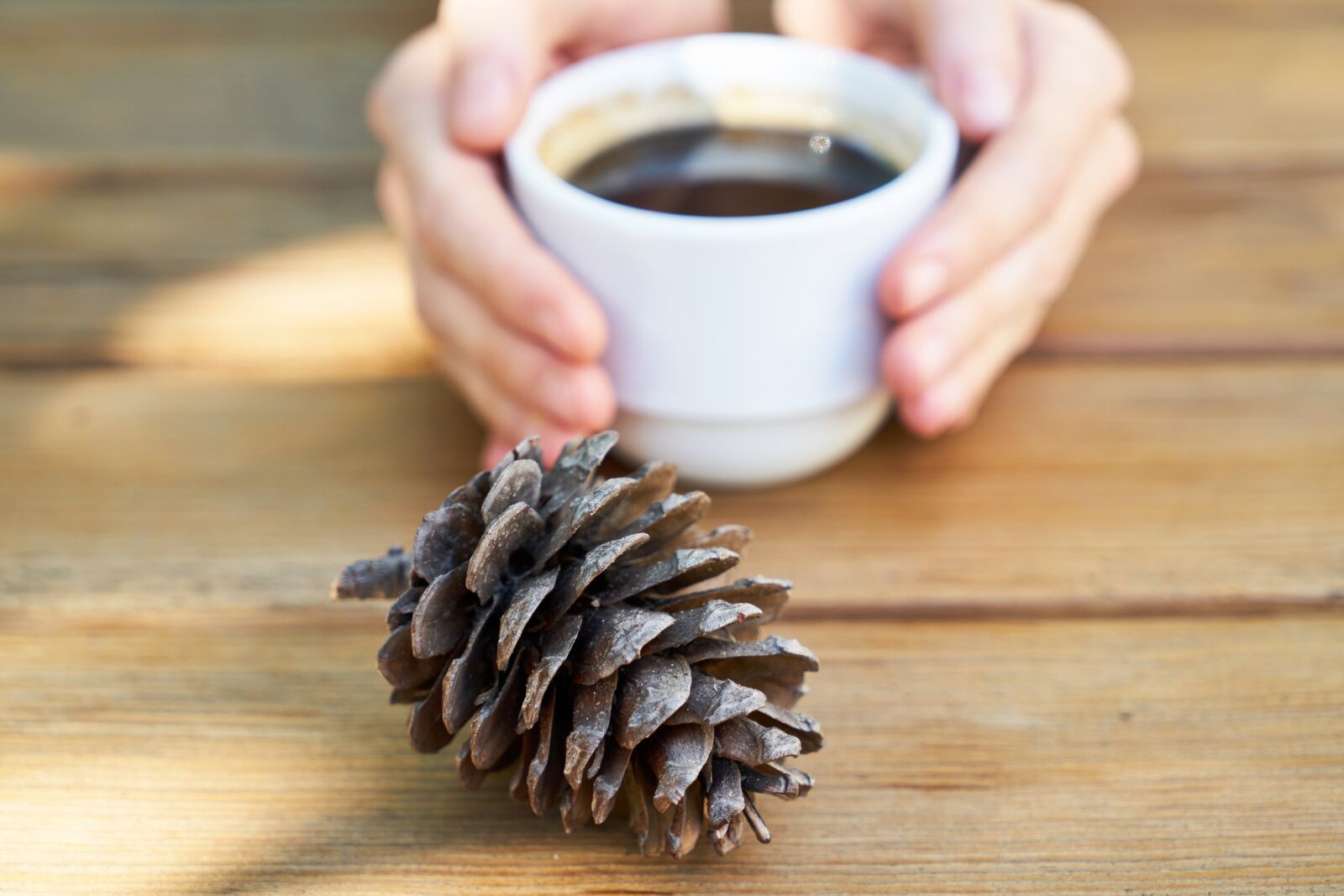 Sony a7R II sample photo. Coffee, cup, porcelain photography