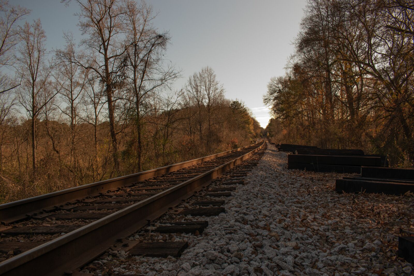 Nikon D3500 sample photo. Railroad, railroad tracks, railway photography