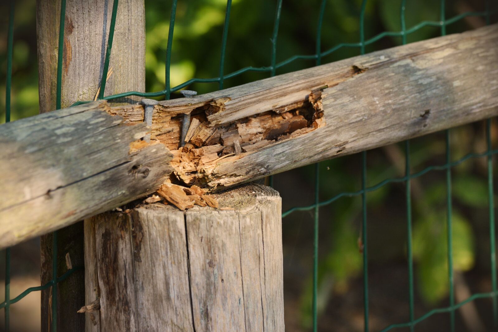 Nikon D5200 sample photo. Wood, old, broken photography