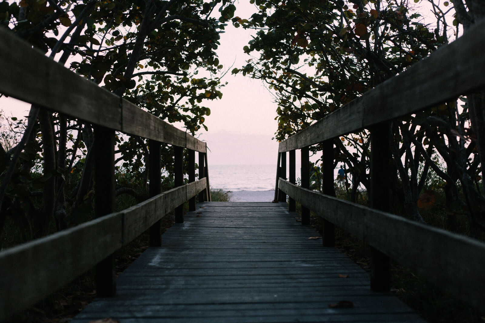 Canon EOS 6D + Canon EF 50mm F1.8 STM sample photo. Beach, boardwalk, ocean, sea photography