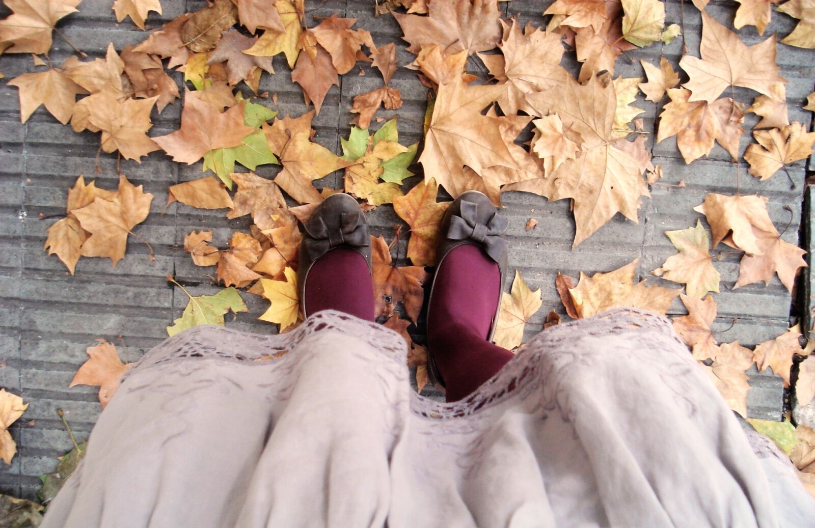 Sony DSC-W50 sample photo. Autumn, feet, leaves photography