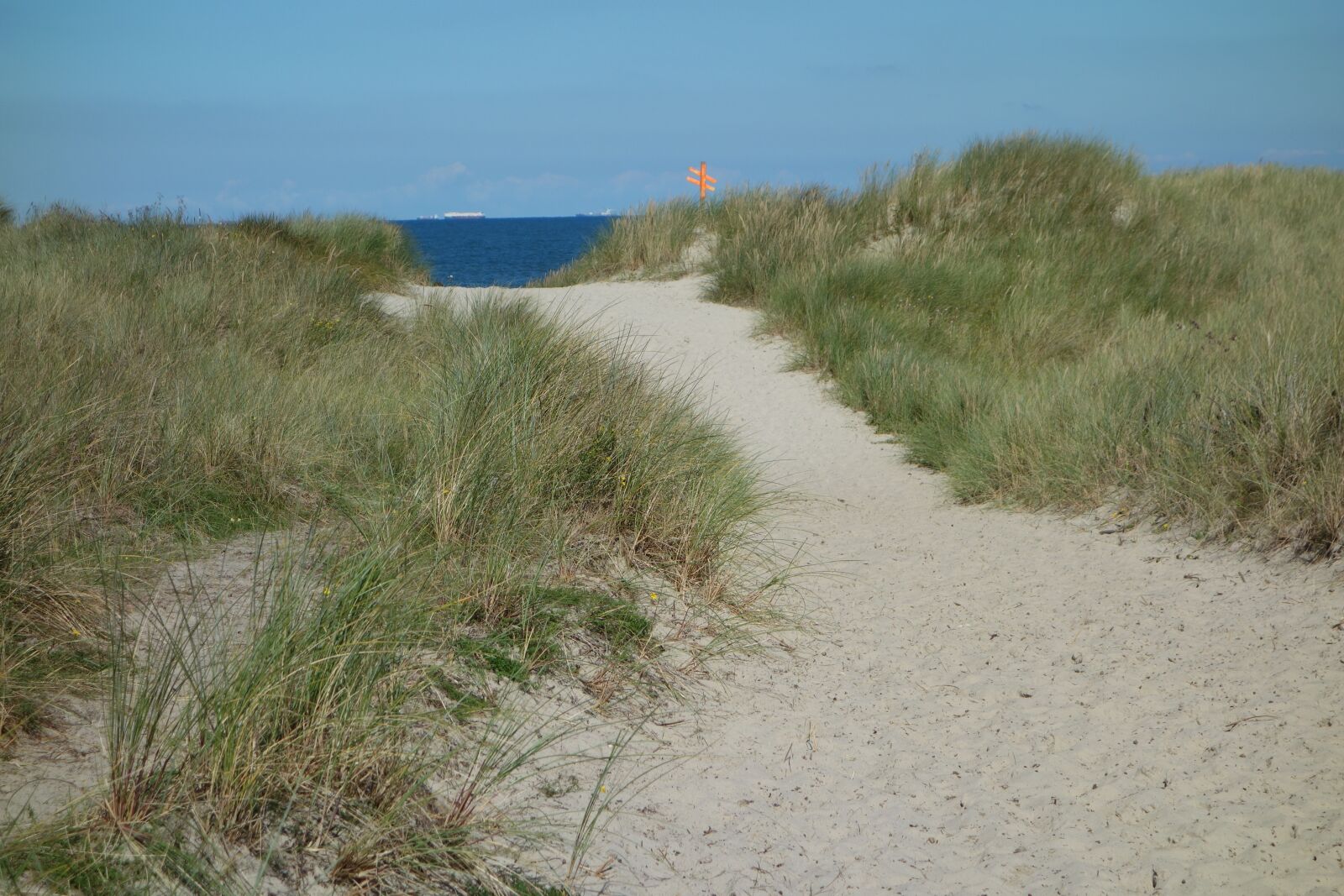 Sony Cyber-shot DSC-RX100 sample photo. Sand road, dune, sand photography