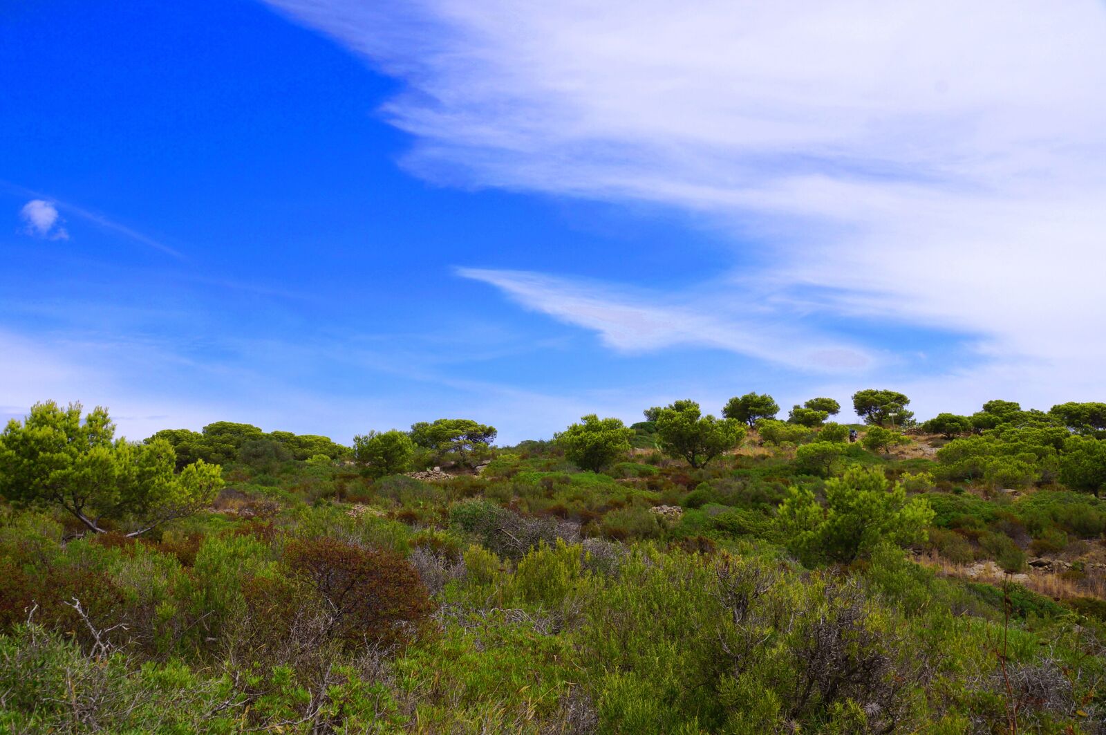 Sony SLT-A37 sample photo. Spain, sea, green photography