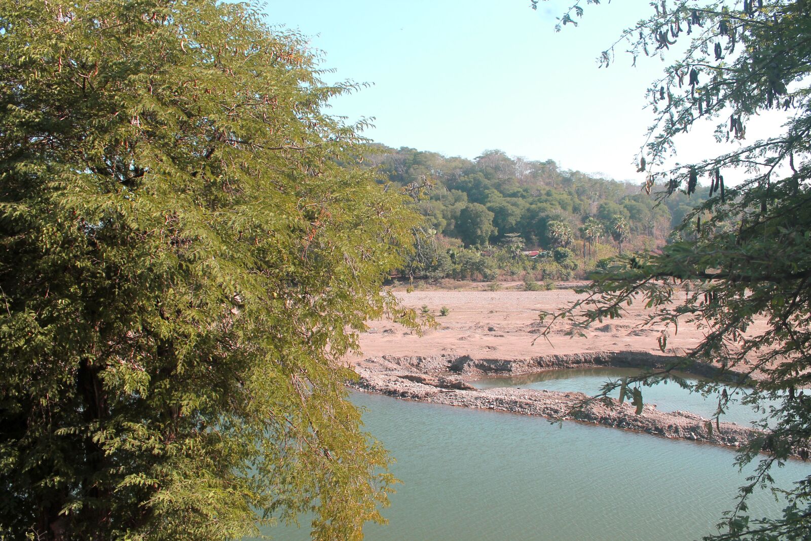Canon EOS 1100D (EOS Rebel T3 / EOS Kiss X50) sample photo. River, branch, the tree photography
