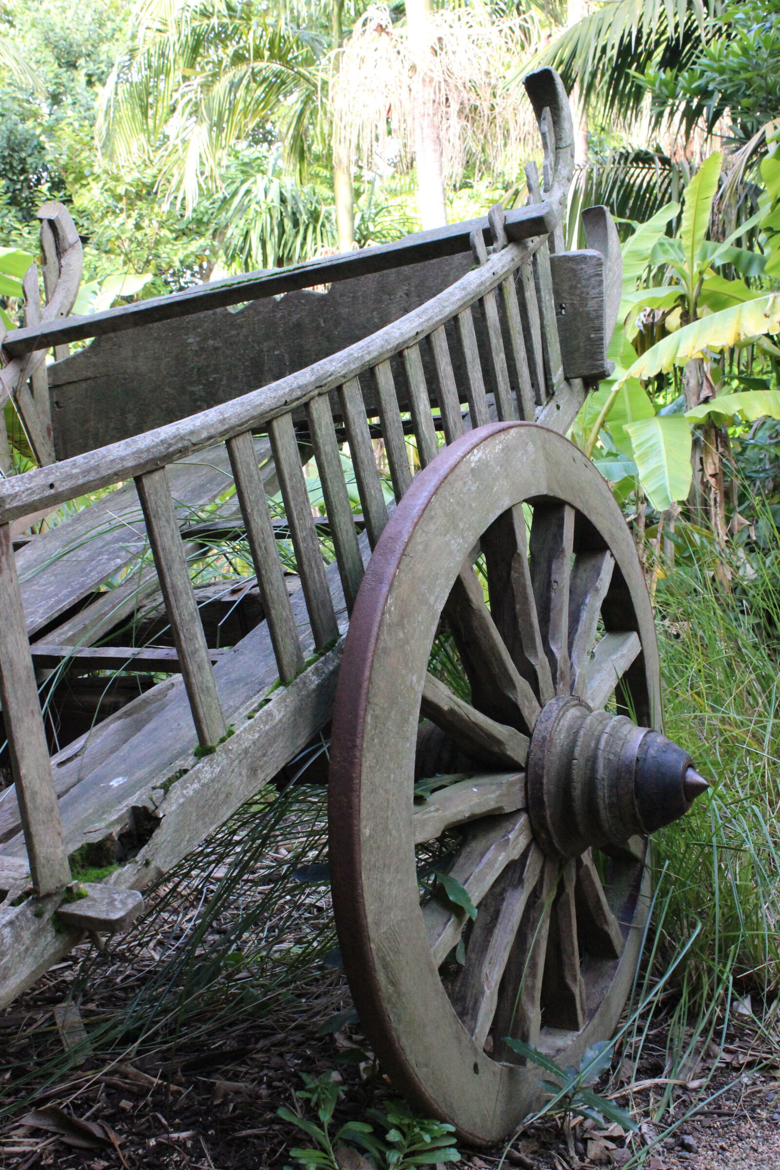 Canon EOS 600D (Rebel EOS T3i / EOS Kiss X5) sample photo. Carriage, cart, old, outside photography