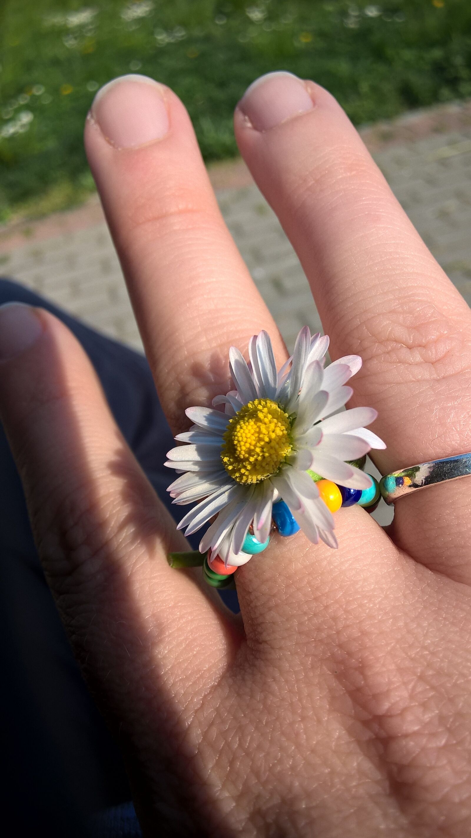 Nokia Lumia 830 sample photo. Margaret, ring, spring photography