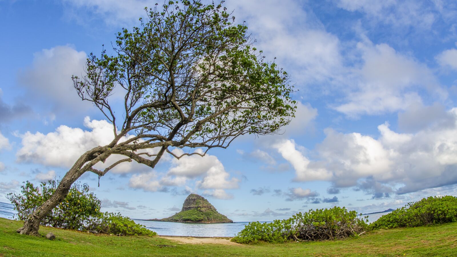 Nikon D5100 sample photo. Mokolii, chinaman's hat, oahu photography