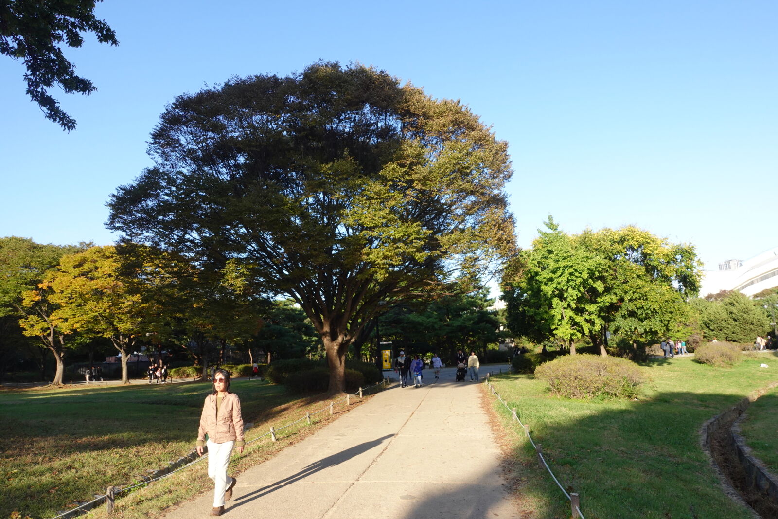 Sony ZV-1 sample photo