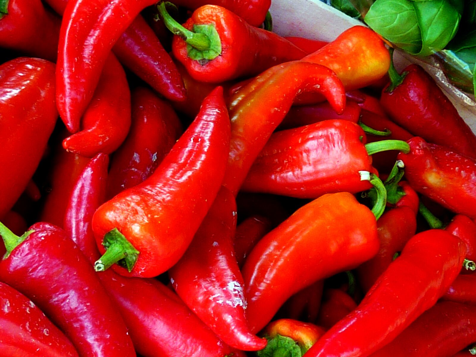 Panasonic DMC-TZ7 sample photo. Paprika, pointed pepper, vegetables photography