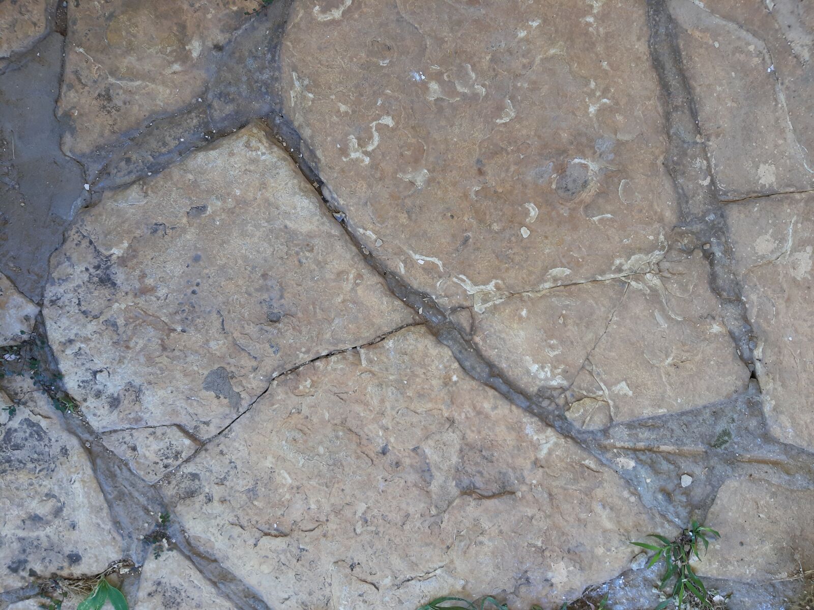 Samsung Galaxy A50 sample photo. Stone terrace, concrete, floor photography