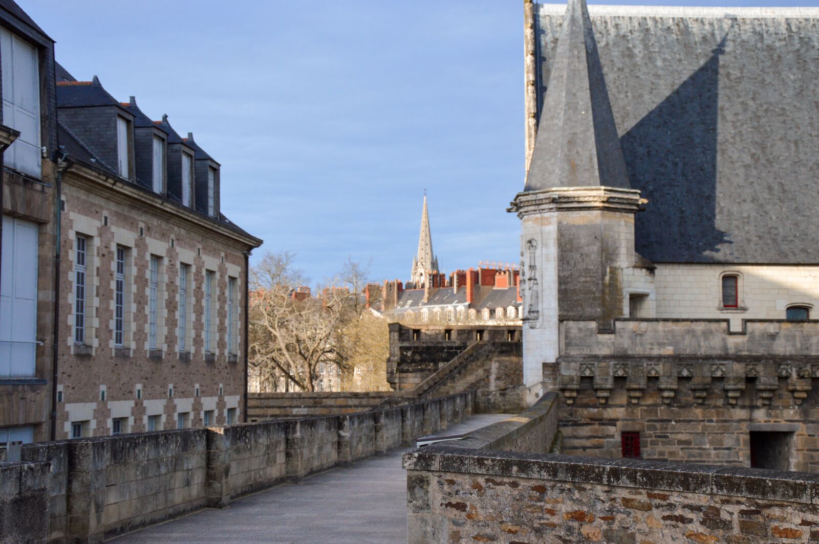 Nikon D3200 sample photo. Castle, nantes, france photography