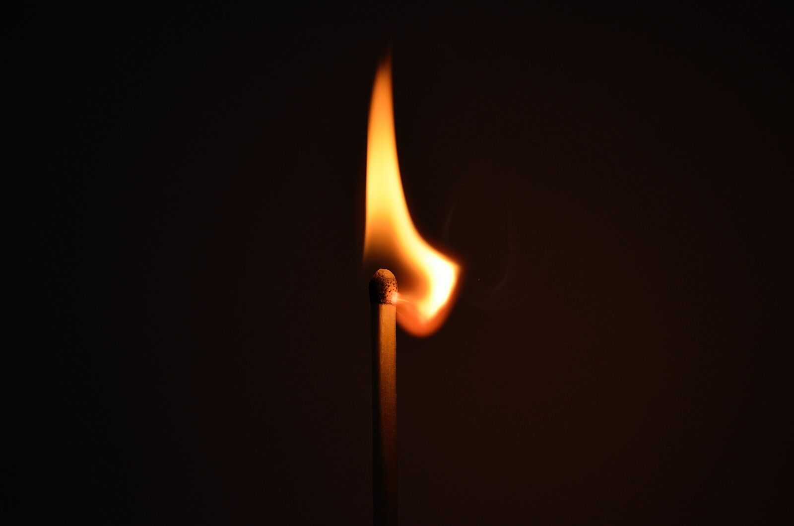 Nikon D5100 sample photo. Lighted, burning, match photography