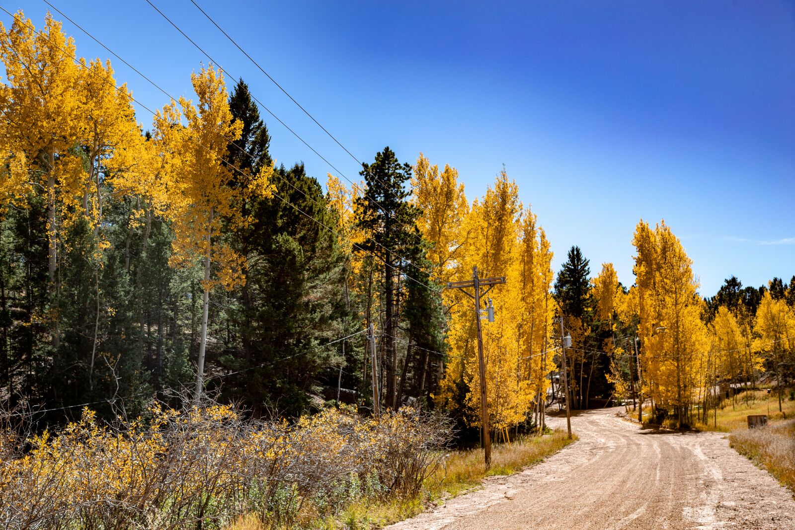 Canon EOS 6D + Canon EF 24-105mm F4L IS USM sample photo. Colorado, fall, aspens photography