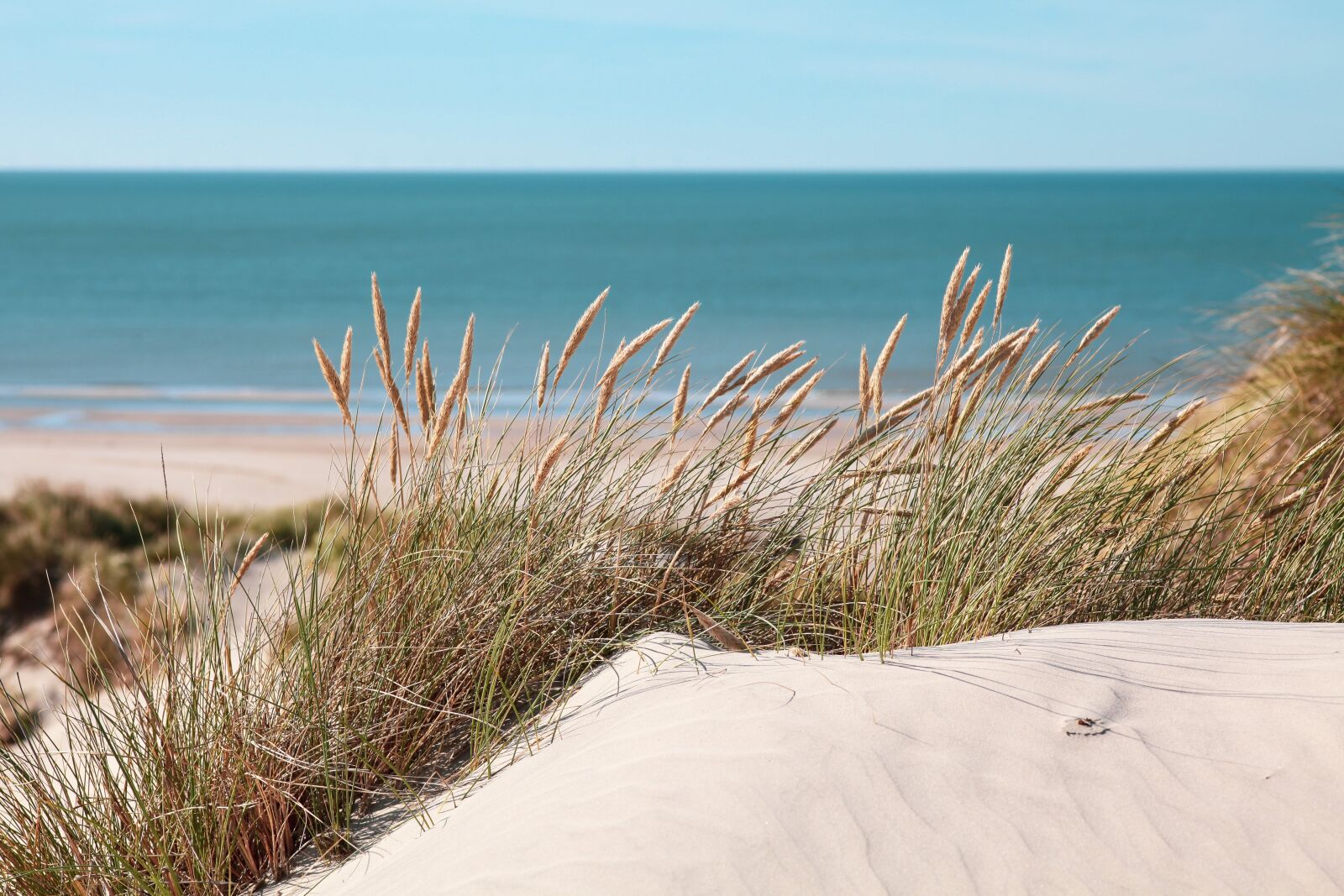 Canon EOS 5D Mark II sample photo. Water, dunes, summer feeling photography