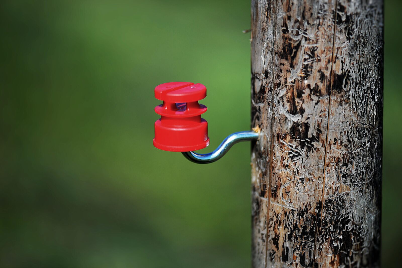 Nikon D610 sample photo. Pasture fence, post, insulator photography
