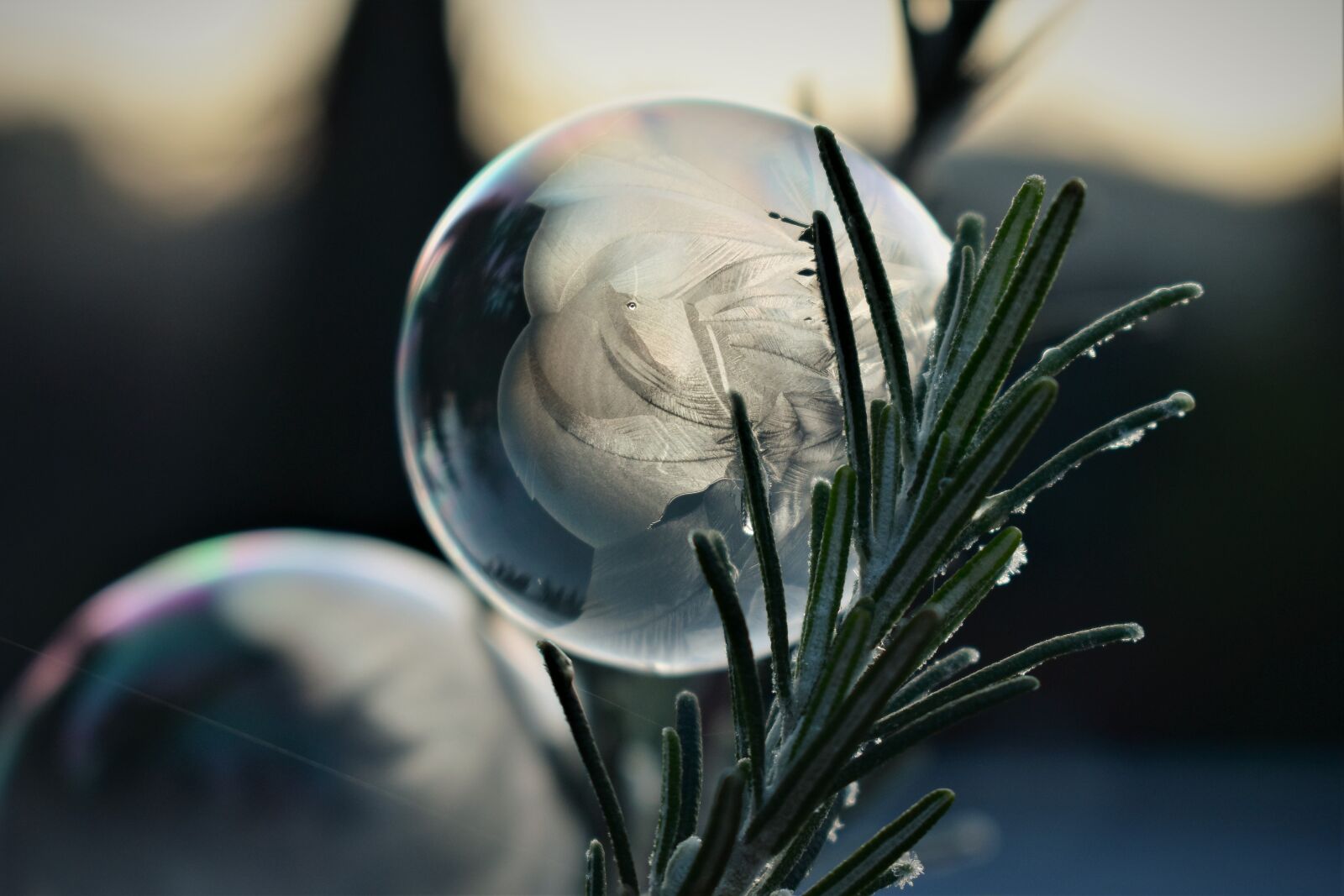 Nikon D5500 sample photo. Soap bubble, frozen, eiskristalle photography