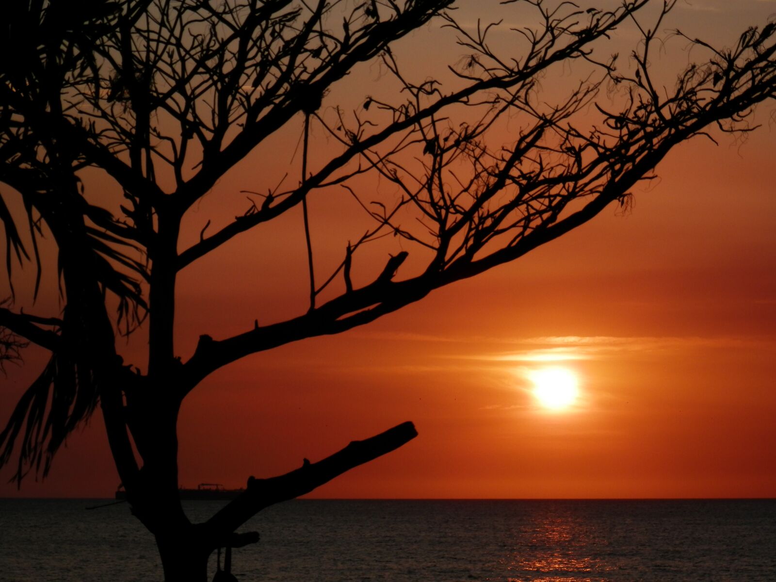 Olympus SZ-14 sample photo. Sunset, santa marta, sea photography