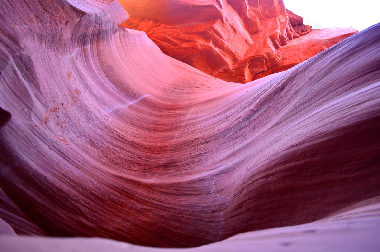 Nikon D5100 sample photo. Nature, arizona, desert photography