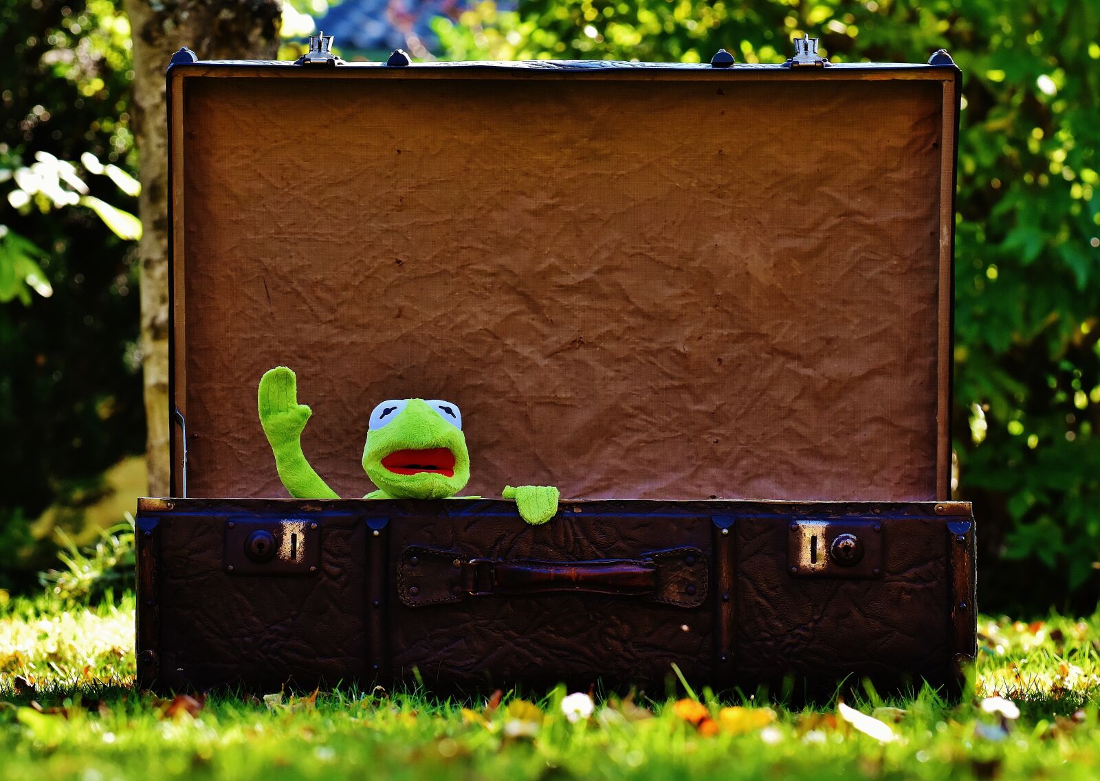 Nikon D7200 sample photo. Kermit, farewell, cute photography