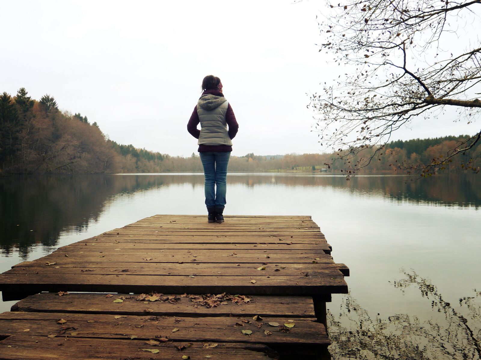 Panasonic Lumix DMC-FZ150 sample photo. Web, lake, forest photography
