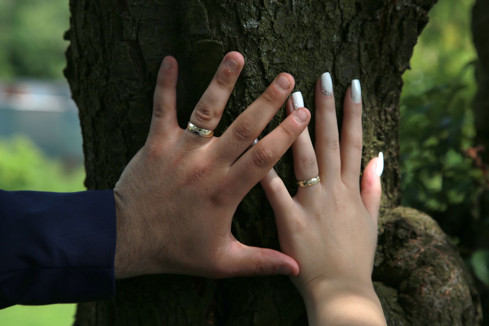 Canon EOS 6D + Canon EF 24-105mm F4L IS USM sample photo. Wedding, rings, love photography