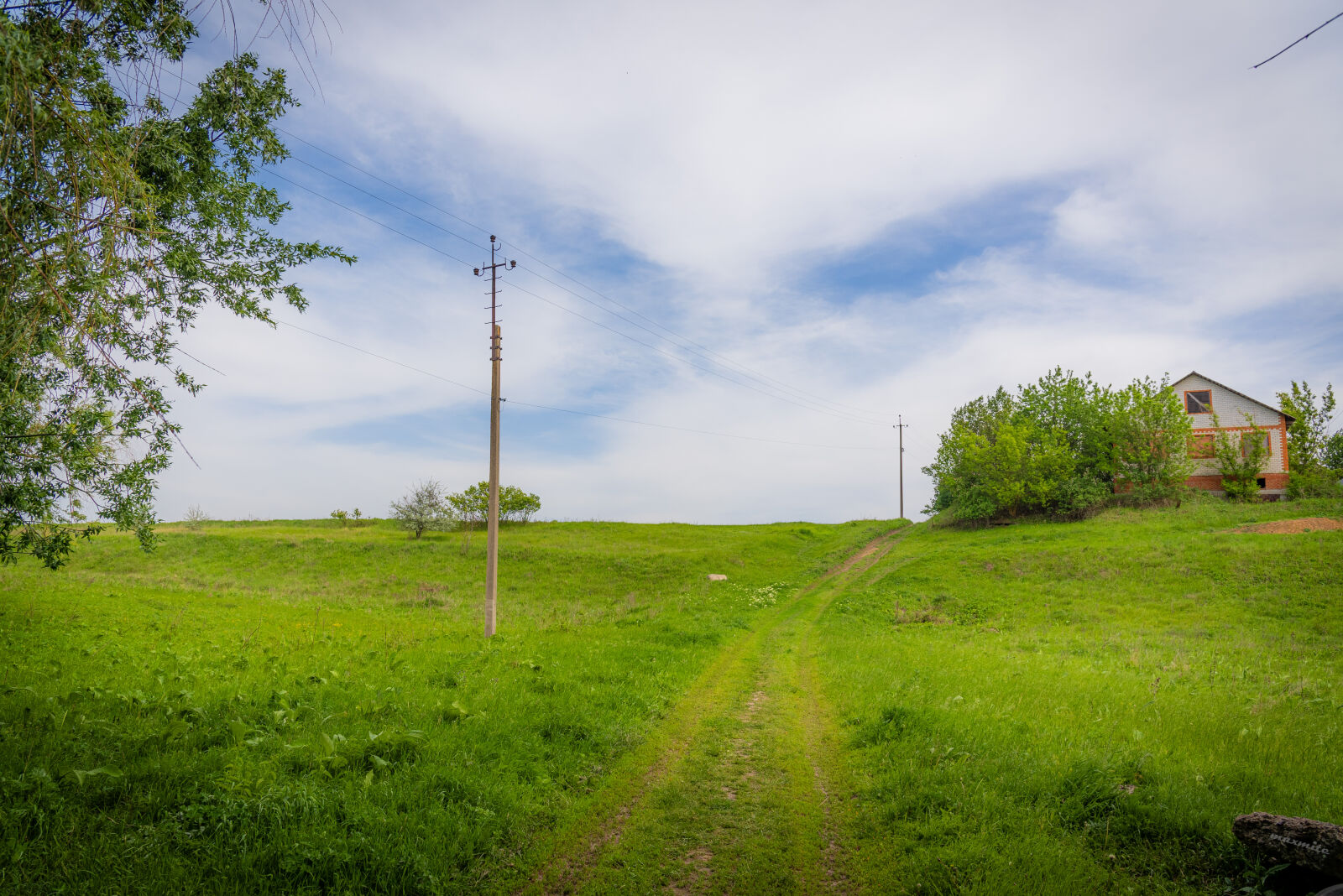 Nikon D750 sample photo