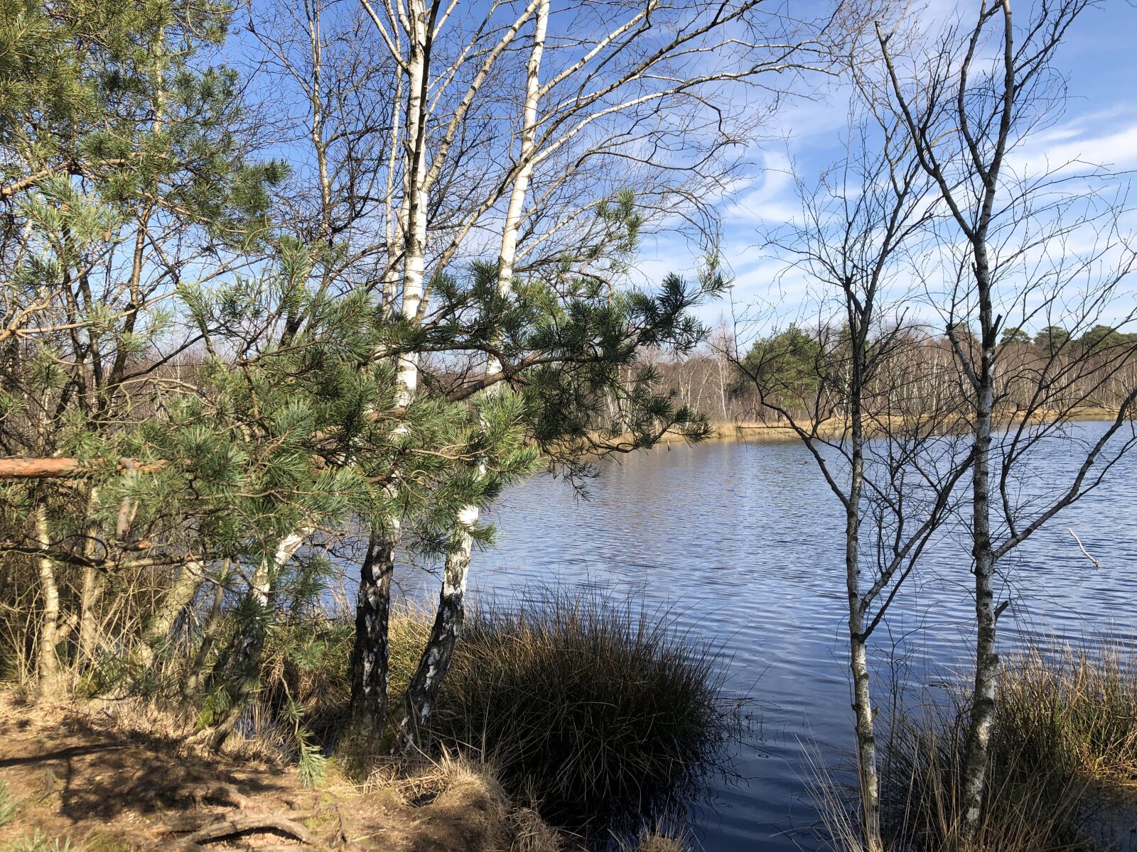 iPhone 8 back camera 3.99mm f/1.8 sample photo. Venner moor, moor, lake photography