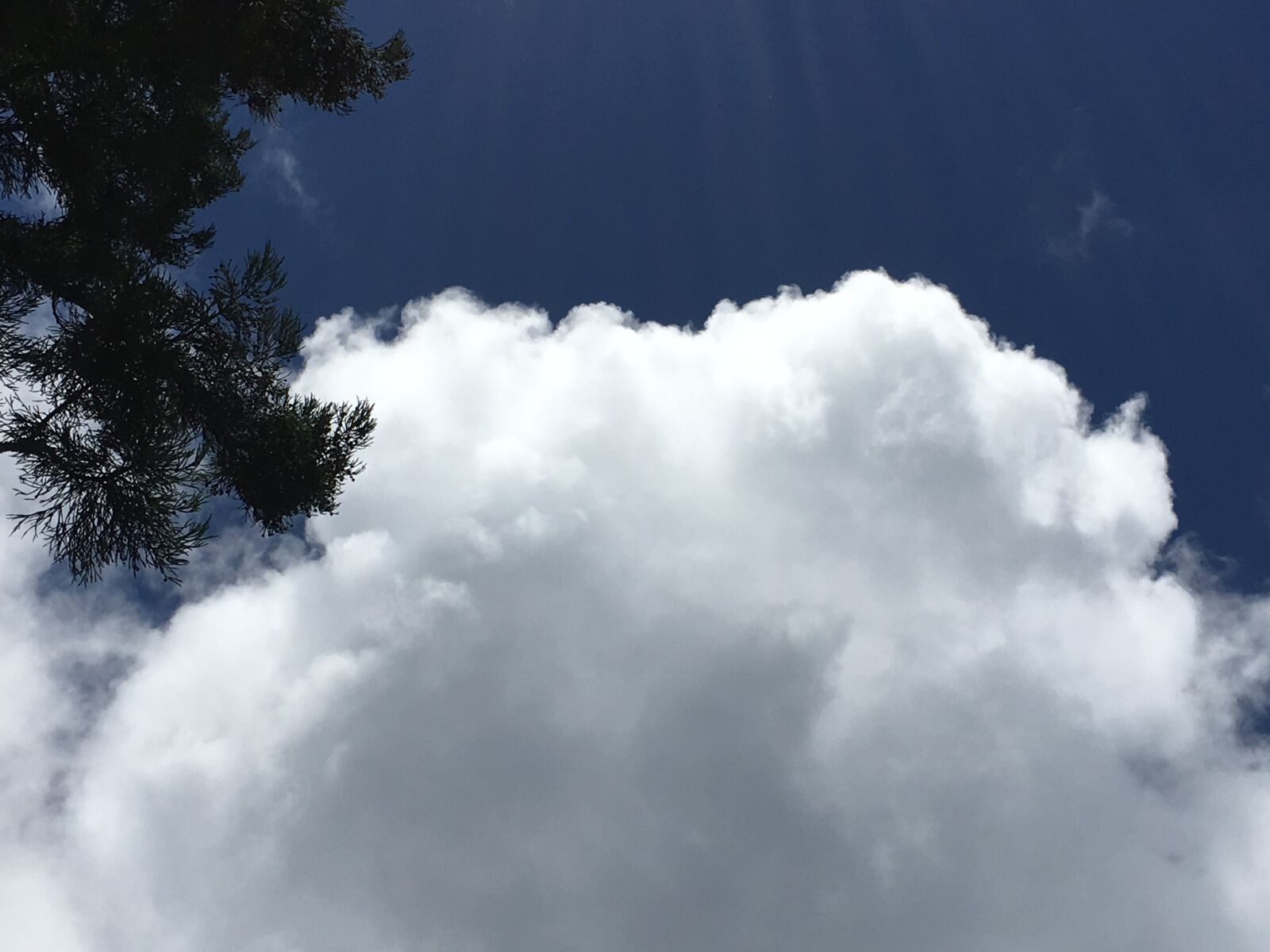 Apple iPhone 6s Plus sample photo. White cloud, blue sky photography