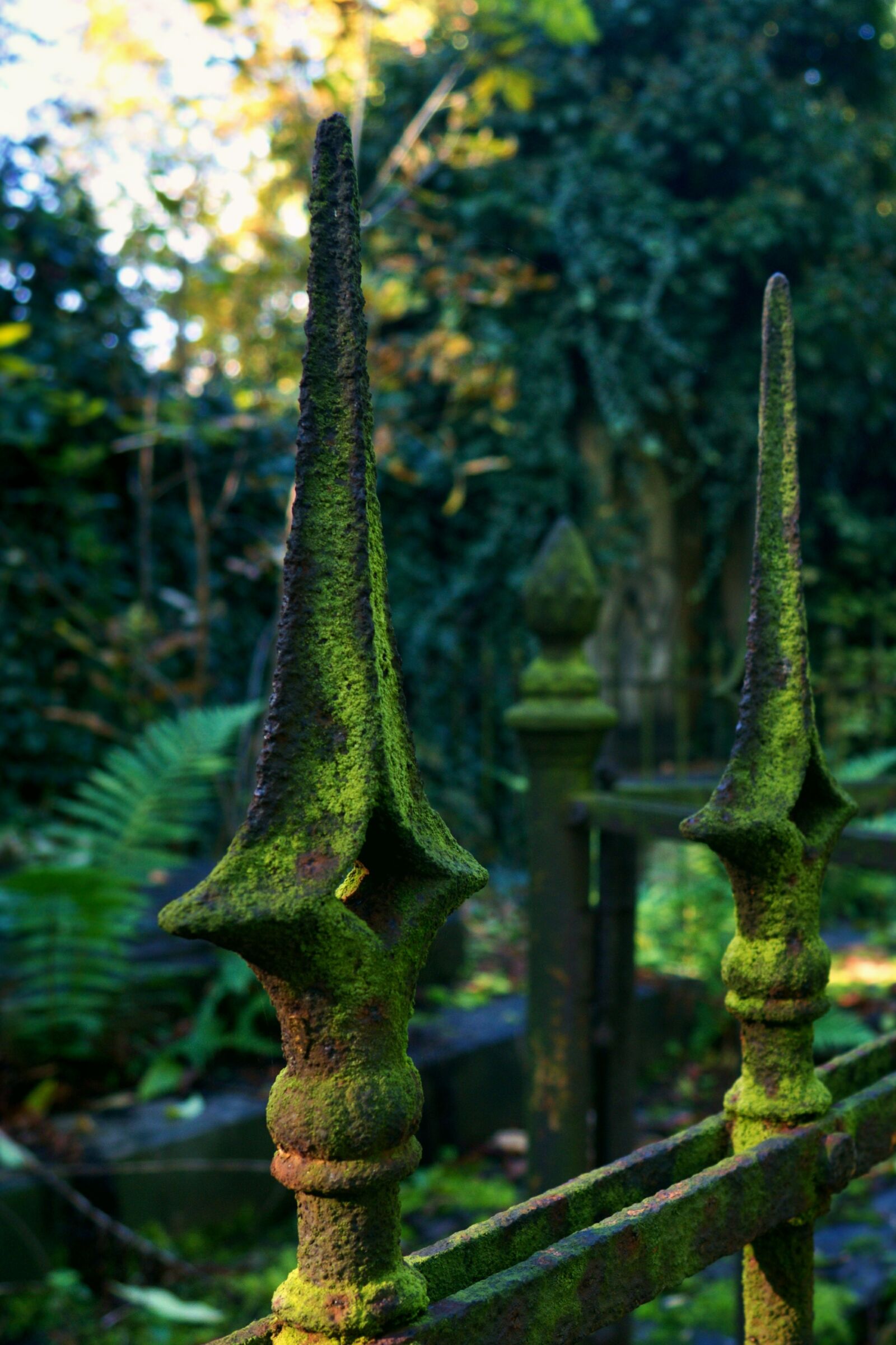 Olympus OM-D E-M10 sample photo. Fence, nature, plants photography