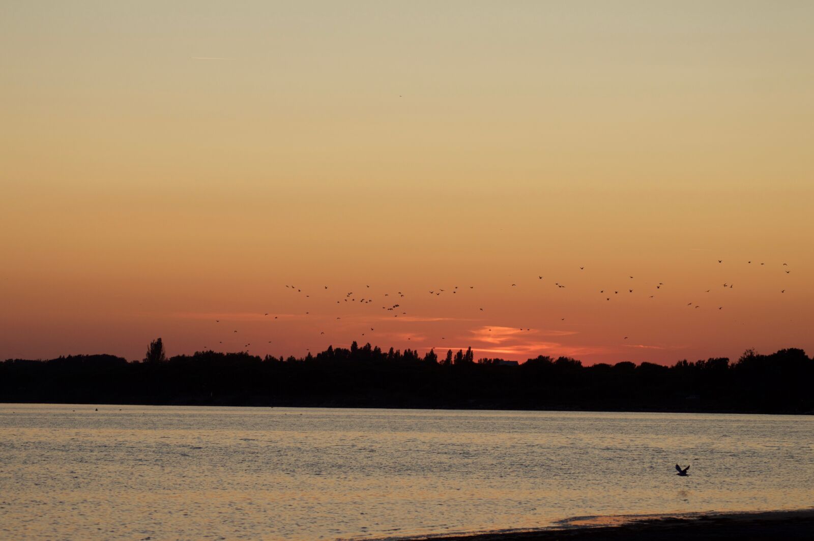 Nikon D3200 sample photo. Sunset, beach, ocean photography