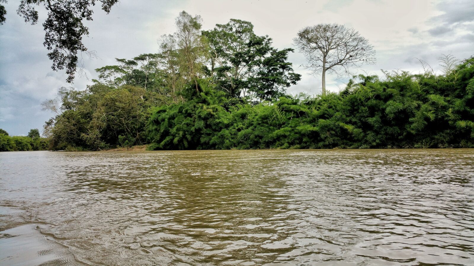 Samsung Galaxy Note4 sample photo. River, water, tree's photography