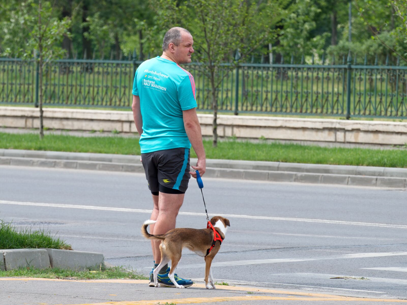 Nikon D5300 sample photo. Man, the person, adult photography