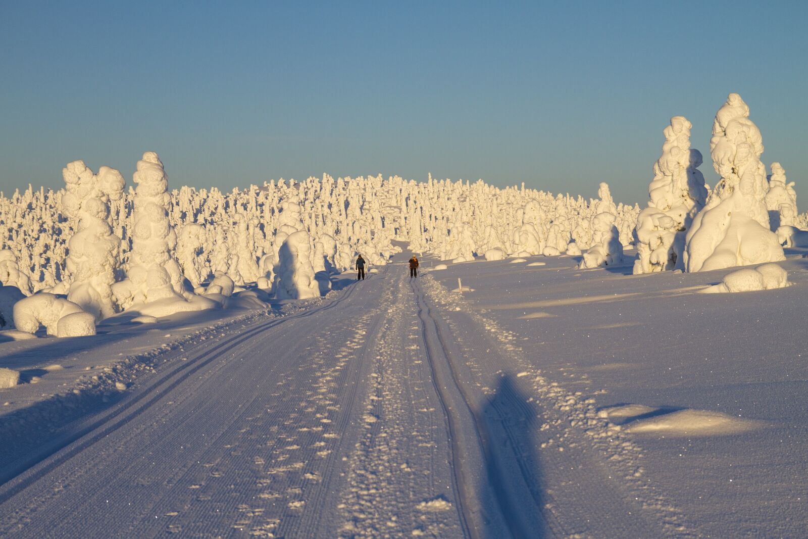 Canon EOS 7D sample photo. Finland, lapland, wintry photography