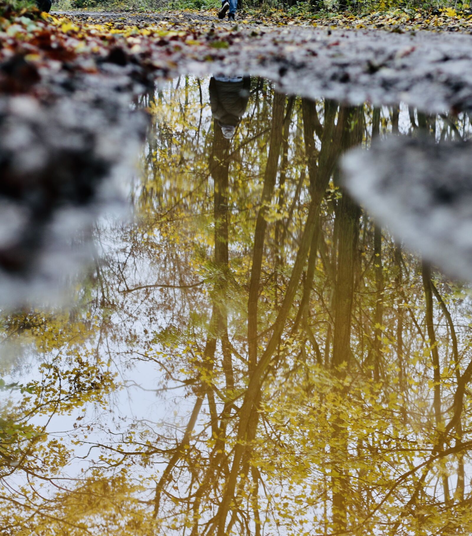 Canon EOS 70D sample photo. Puddle, water, mirroring photography