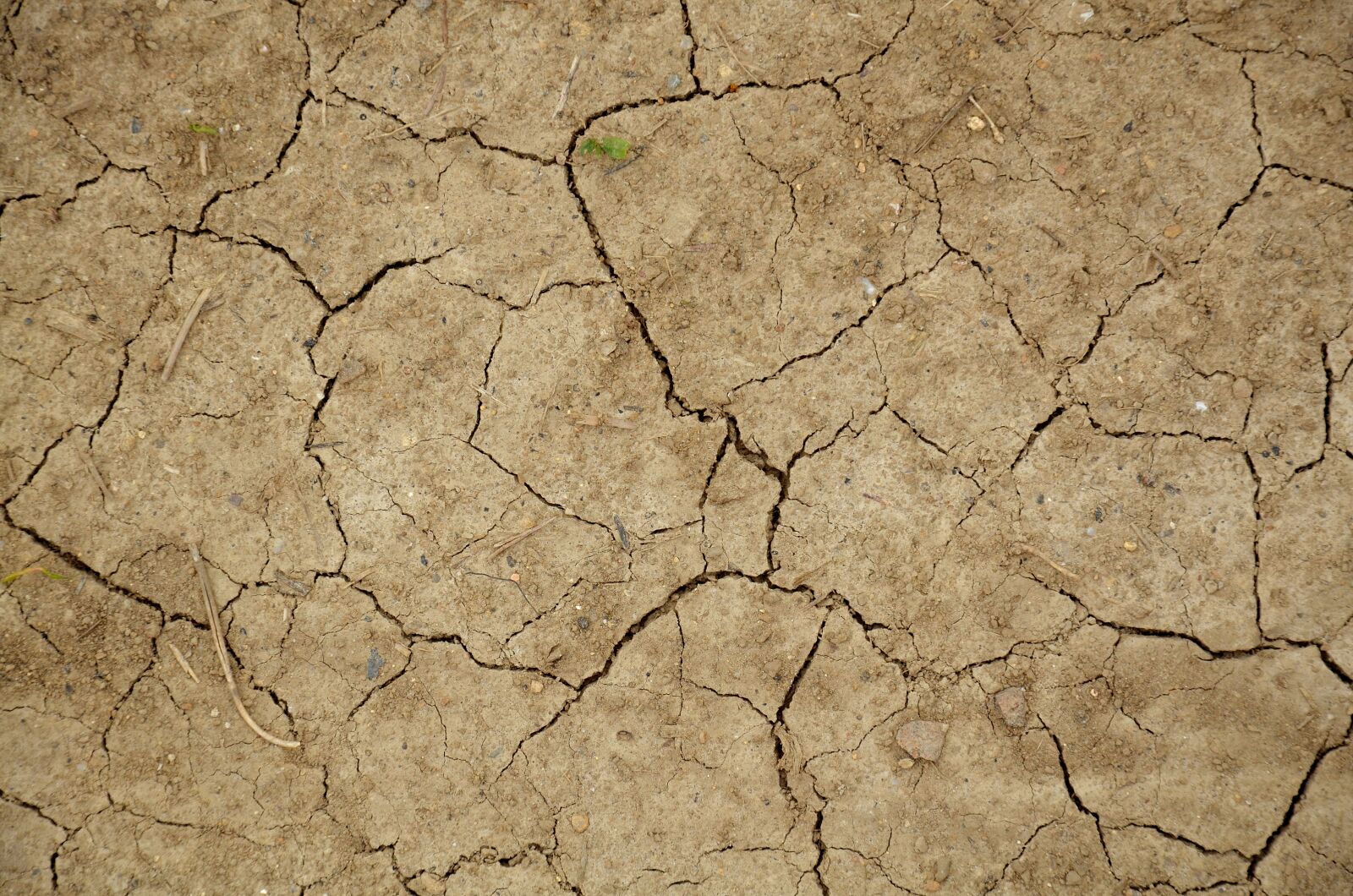Nikon D5100 sample photo. Land, erosion, drought photography