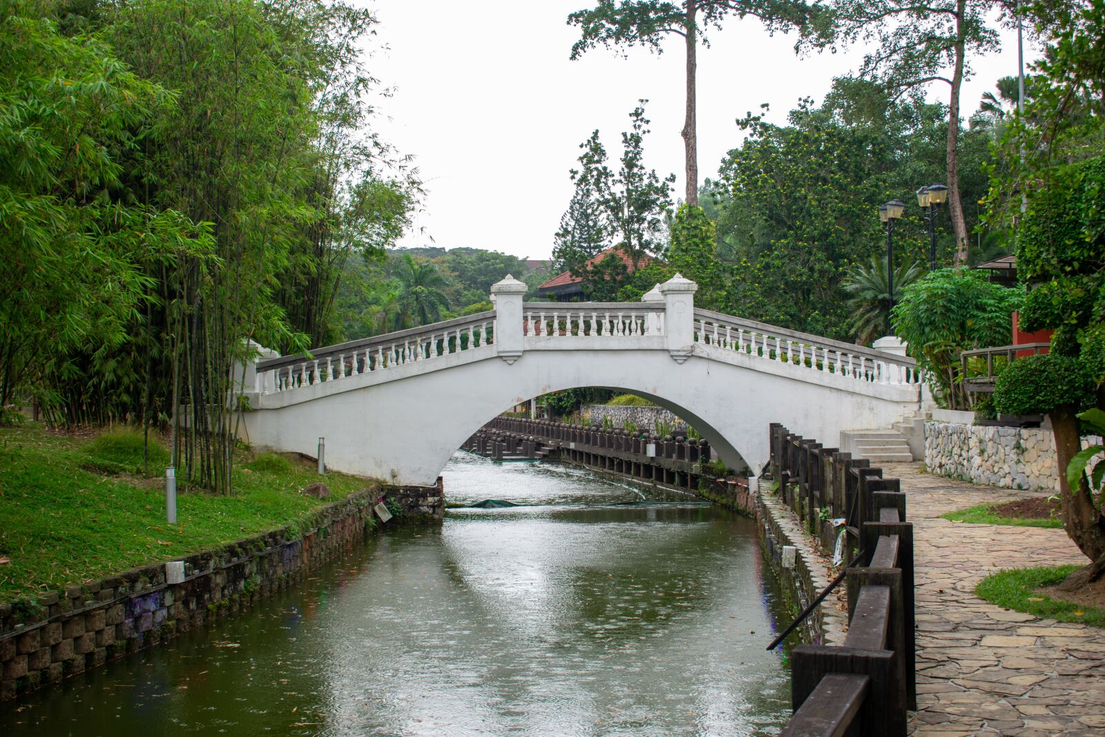 Nikon D3400 sample photo. Bridge, sri lanka, exotic photography