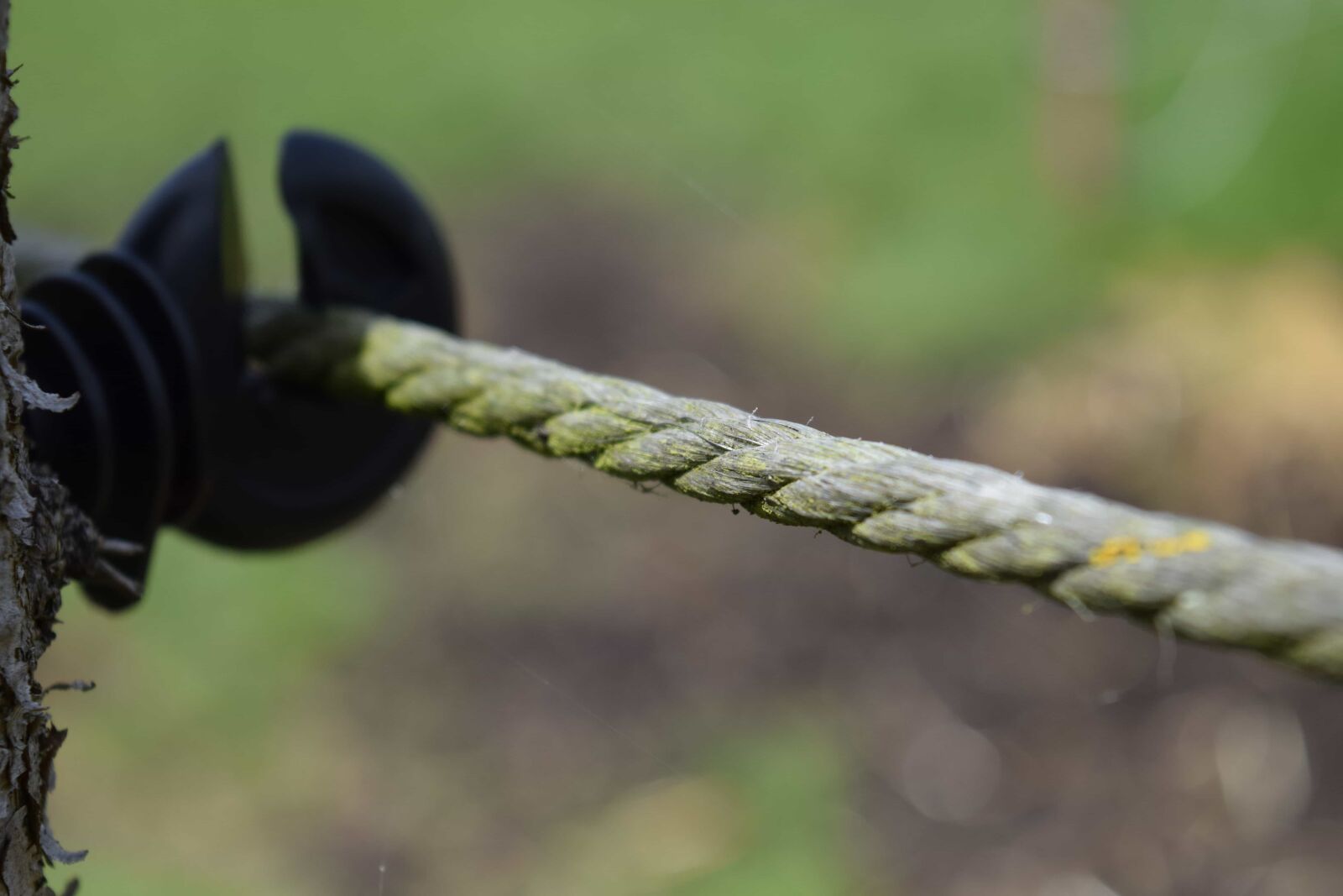 Nikon D3300 sample photo. Rope, knitted, nature, wood photography