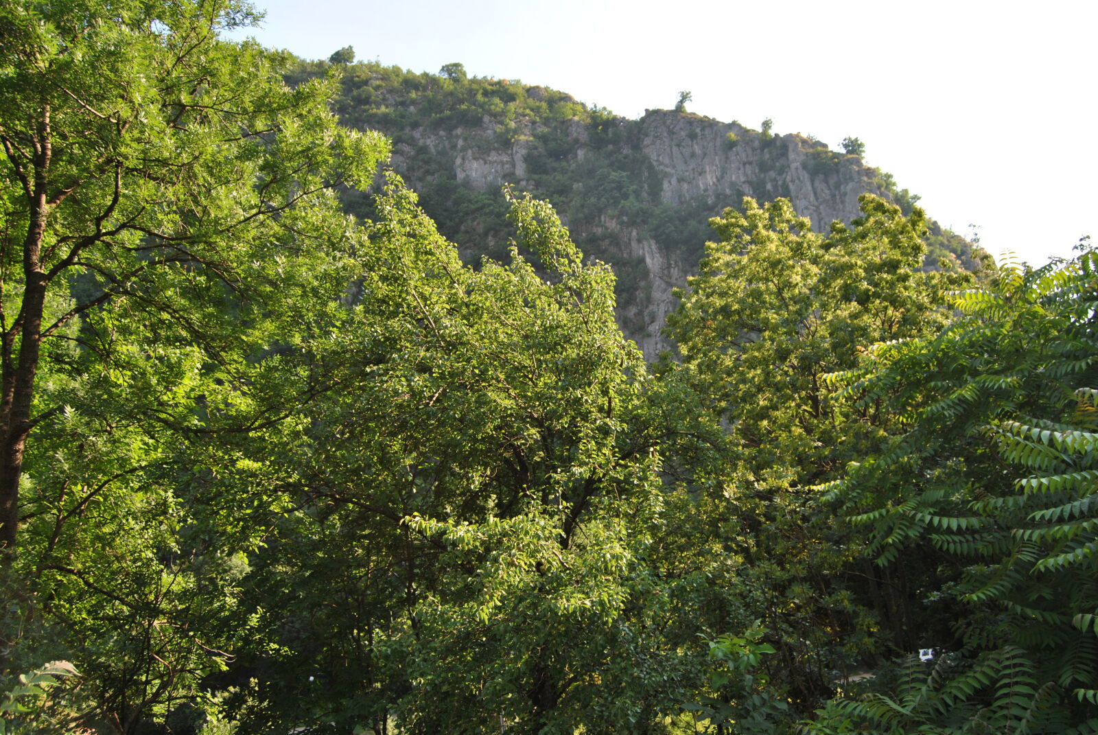 Nikon D3000 sample photo
