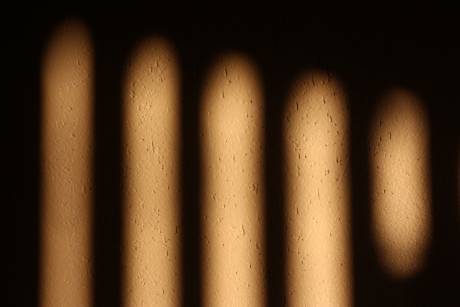 Canon EOS 700D (EOS Rebel T5i / EOS Kiss X7i) sample photo. Canon, light, shadows, sun photography