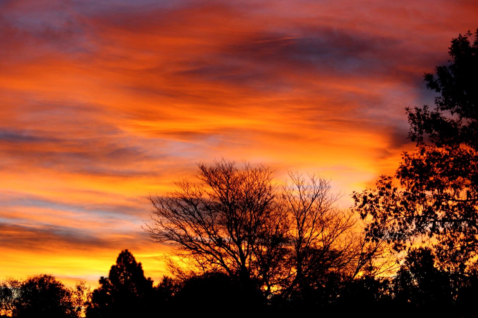 f/4-5.6 IS II sample photo. Colorful sunrise, trees, silhouette,dawn photography