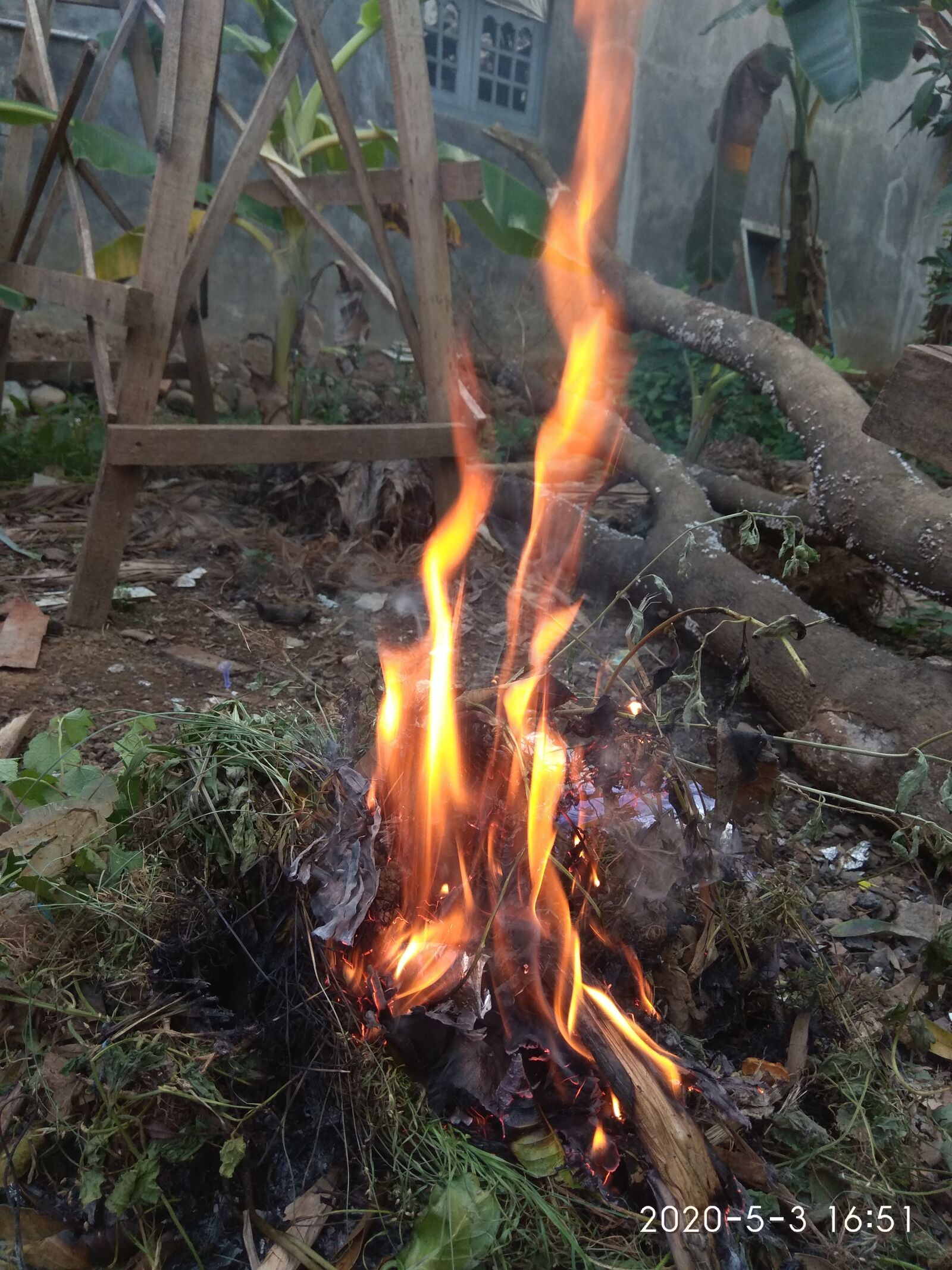 Xiaomi Redmi Note 4 sample photo. Api, nature, flame photography