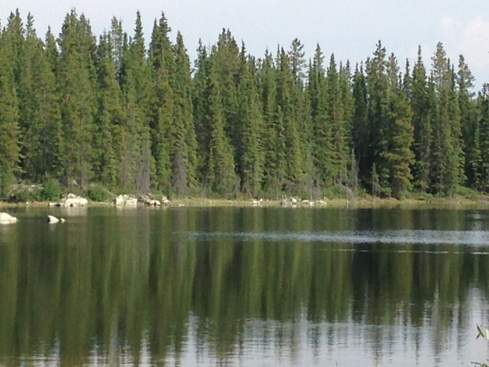 Apple iPhone 5 sample photo. Evergreens, lake, nature, reflection photography