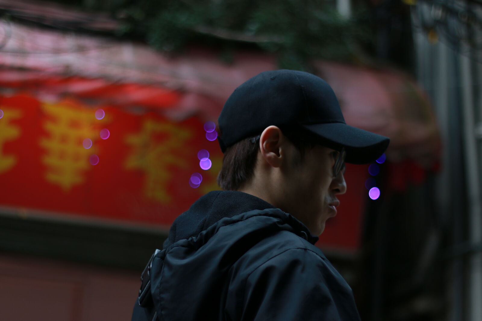 Canon EOS 70D + Canon EF 50mm F1.8 II sample photo