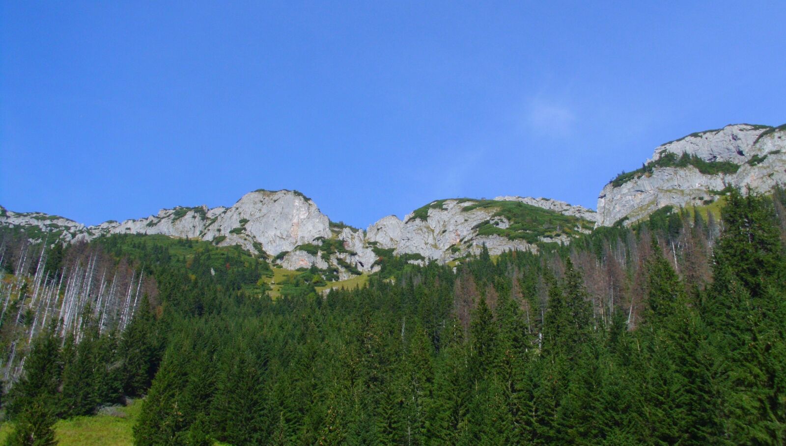 Benq DC C1450 sample photo. Tatry, mountains, landscape photography