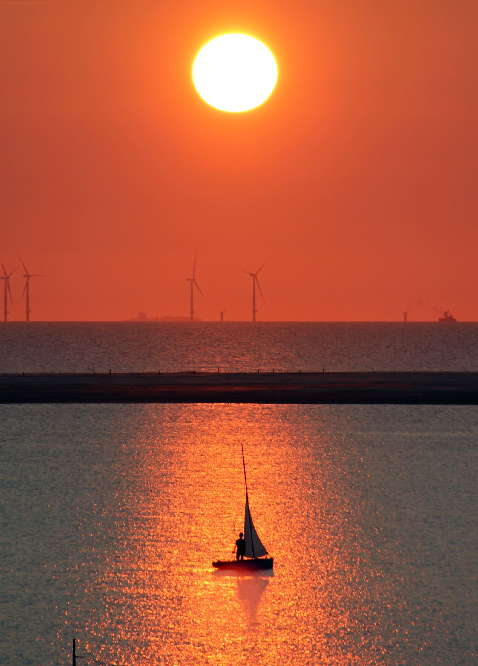 Canon EF-S 18-200mm F3.5-5.6 IS sample photo. Borkum, sailing boat, seal photography