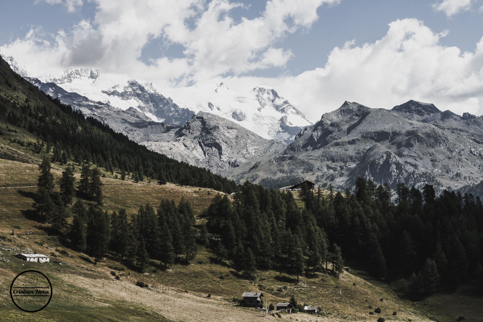 Canon EOS 7D + Canon EF 50mm F1.8 STM sample photo. Alpi, alpine, boschi, filter photography